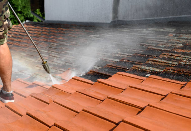  Belhaven, NC Pressure Washing Pros
